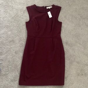 NWT Loft Sheath Dress - Burgundy